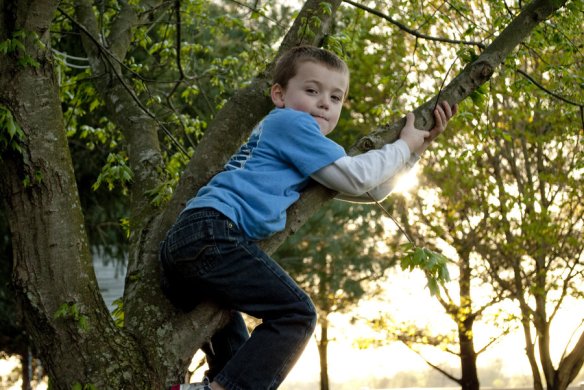 boy_in_a_tree_by_photo_phan